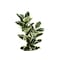Monarch Specialties Artificial Plant, 47" Tall, Oak Tree, Indoor, Faux, Fake, Floor, Greenery, Potted, Real Touch I 9544 - alternate 3